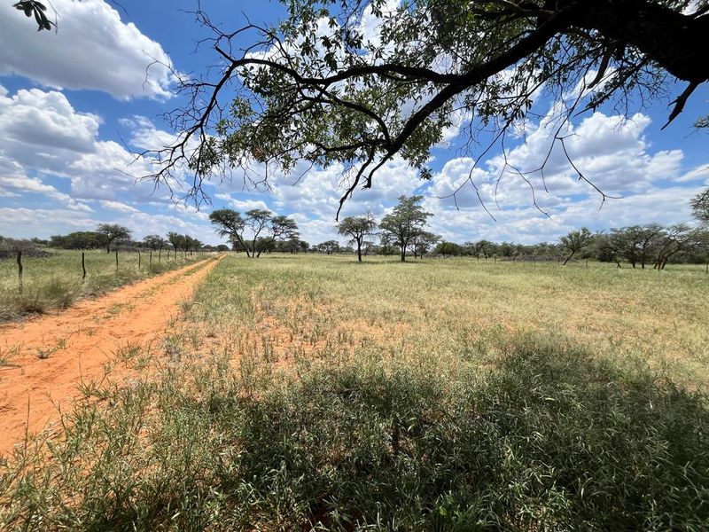 Discover this incredible 4500ha farm offering a perfect blend of modern infrastructure, abundant water resources, and rich wildlife - Photo 5