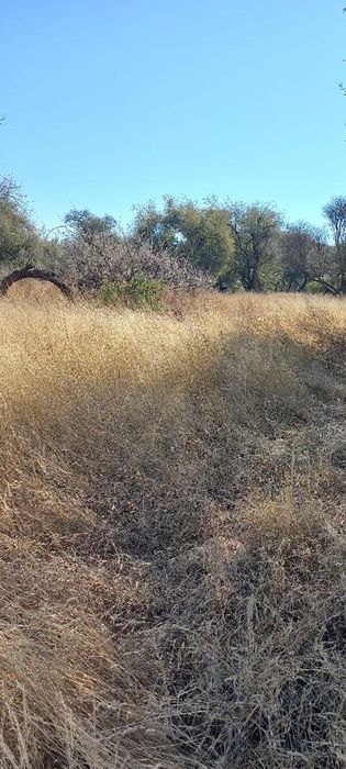 Property #2539687, Vacant Land Residential For Sale in Okahandja Central