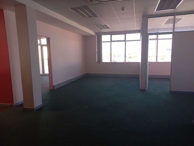 An open-plan office space featuring a suspended ceiling, recessed lighting, and large windows providing natural light, finished with green carpet flooring.
