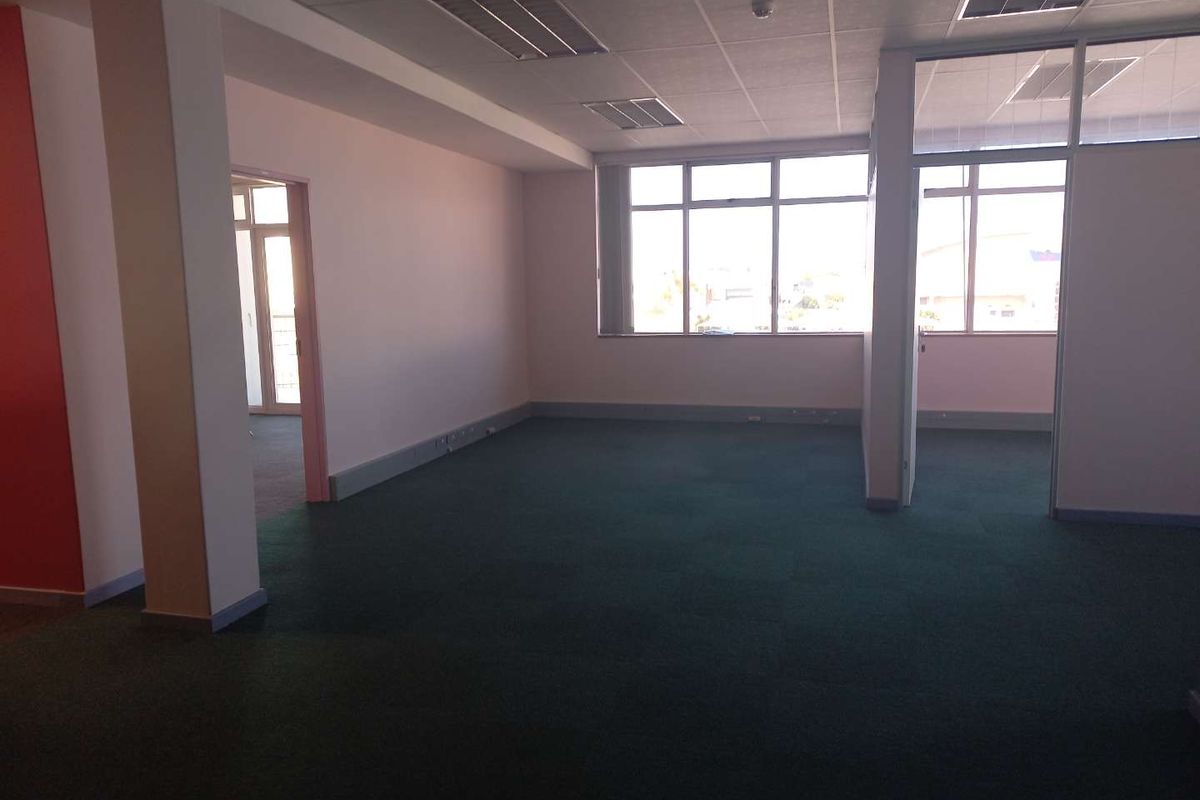 An open-plan office space featuring a suspended ceiling, recessed lighting, and large windows providing natural light, finished with green carpet flooring.