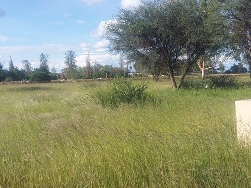 A large, open grassy plot featuring mature trees, perimeter fencing, and a fixed electrical utility box.