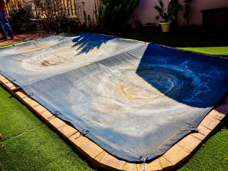 Single-Level 4-Bedroom Family Home with Pool - Photo 7