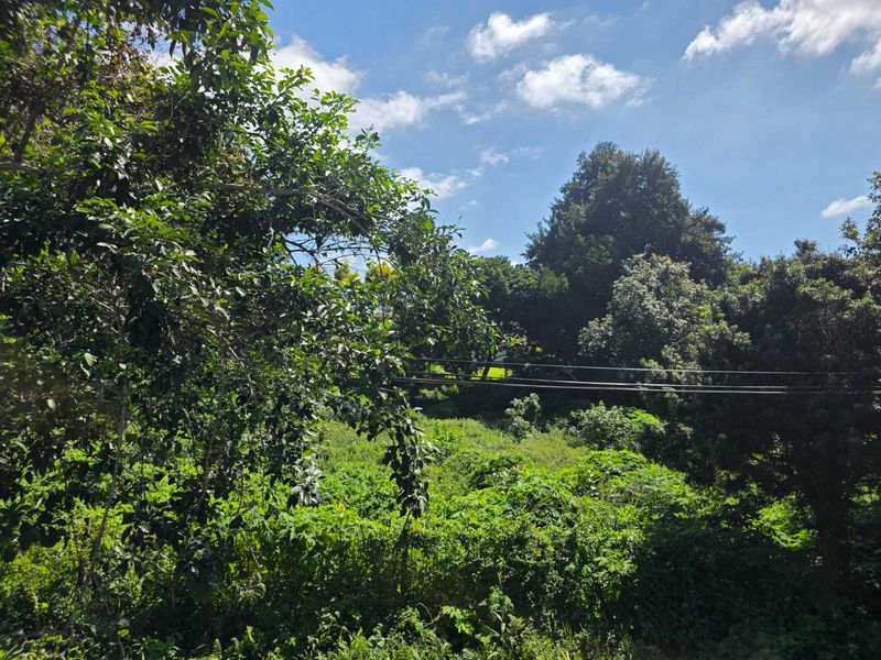 Prime Commercial Land for Sale in Kloof, Clifton Park - Photo 4