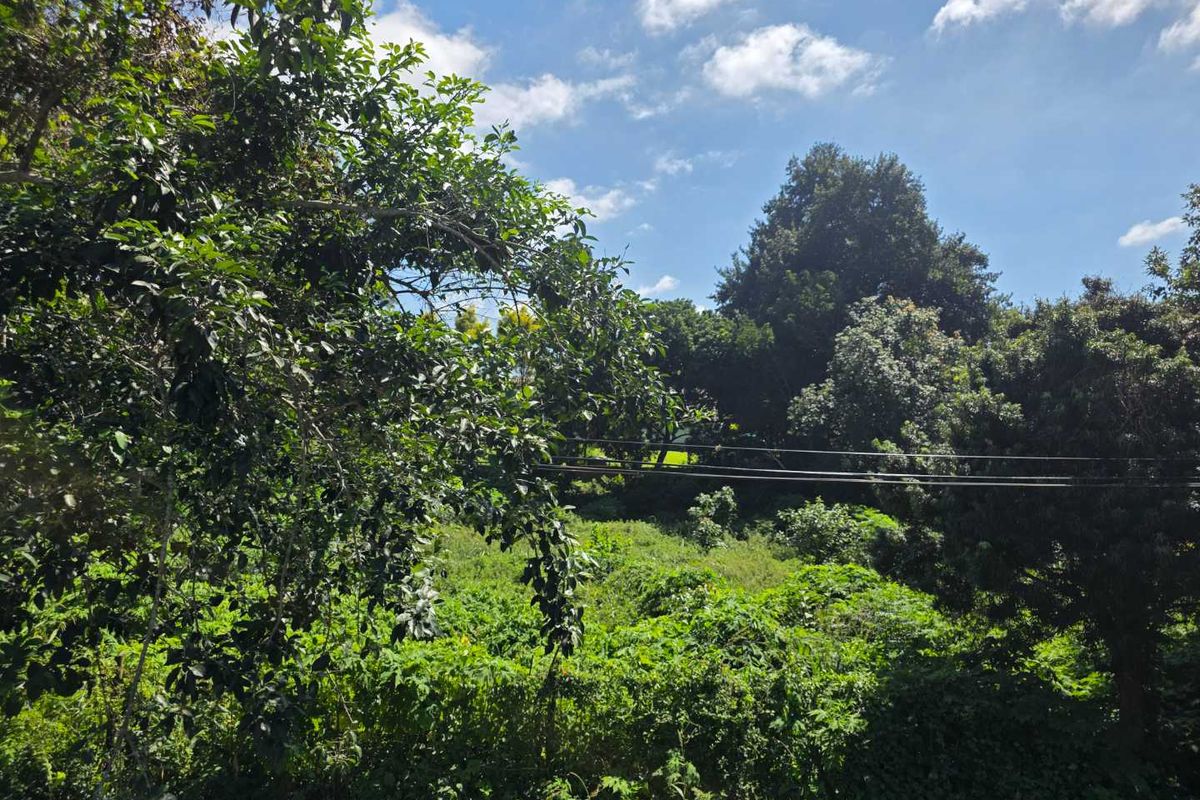 Prime Commercial Land for Sale in Kloof, Clifton Park - Photo 4