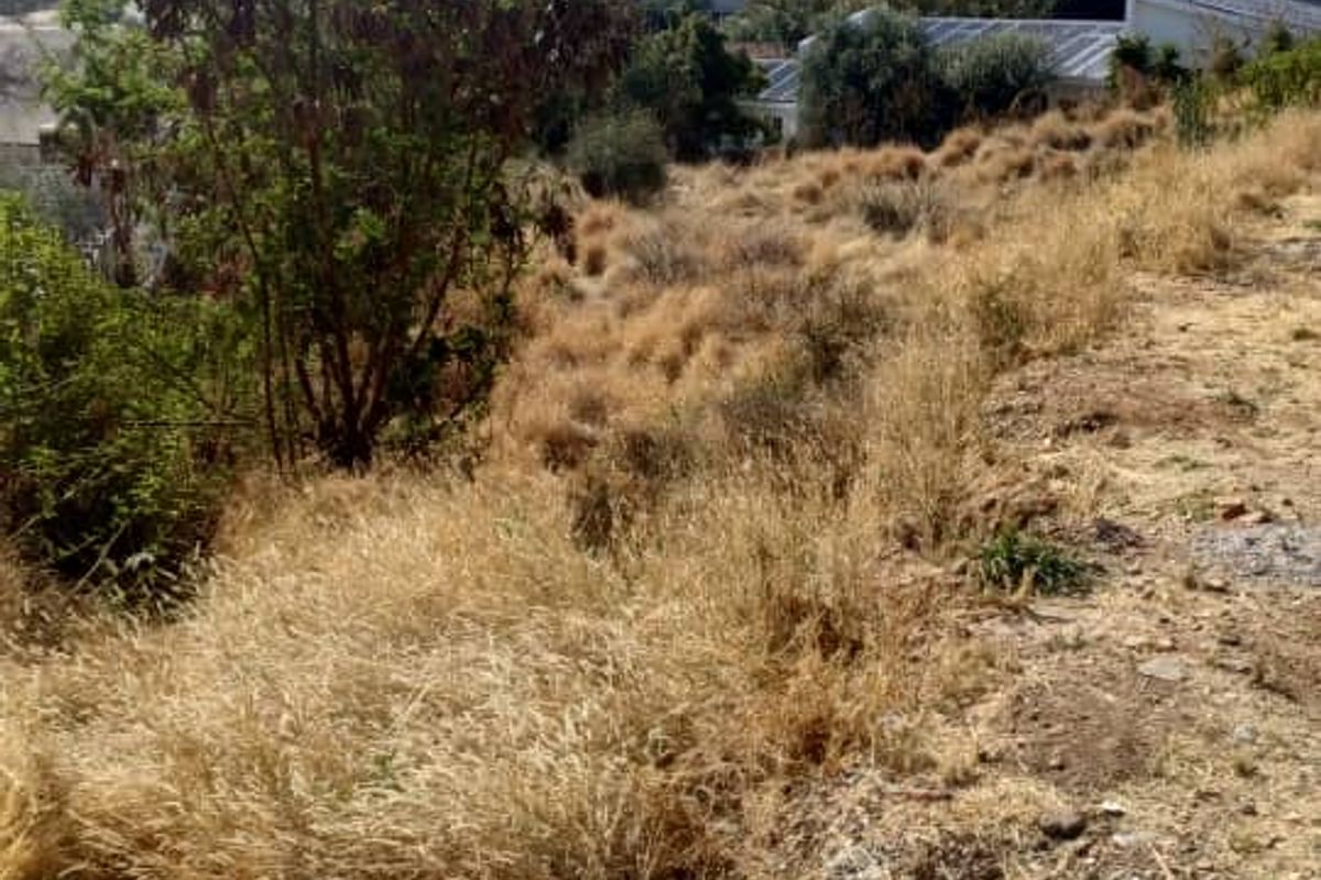 Erf for Sale Klein Windhoek - BARGAIN - Fast seller !!!! - Photo 2