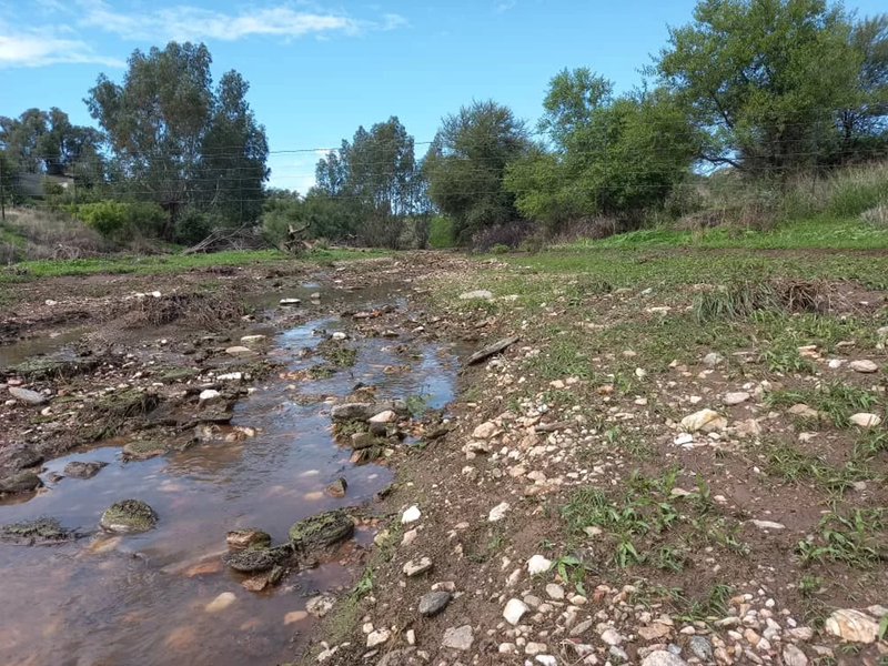 Vacant land - Photo 6