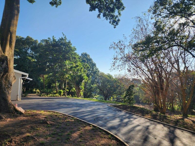 Fully Renovated, Modern Home in Exclusive Complex of only 3 Units, in the Heart of Kloof! - Photo 6