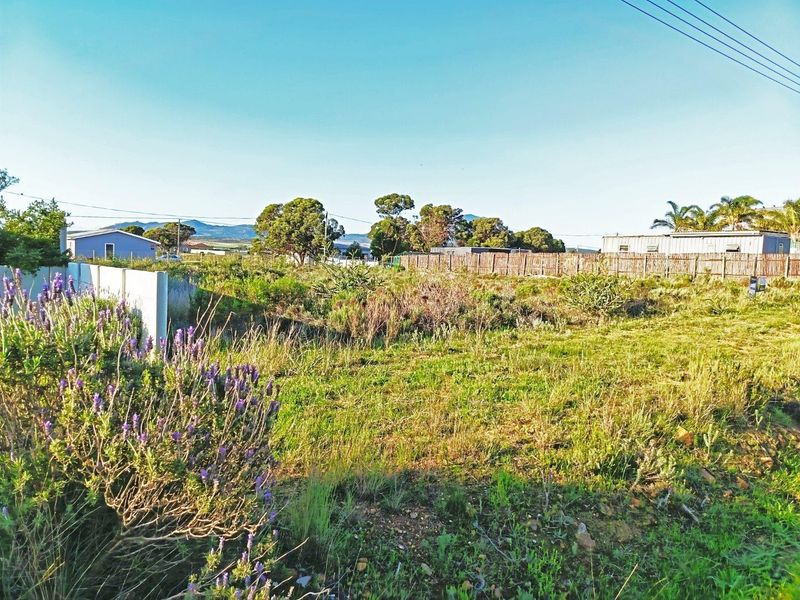 Big Skies,  Big Dreams! - Photo 10