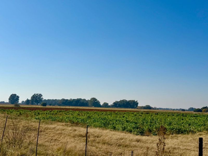 21-Hectare Farm with Water Rights – Just 11km from Langenhovenpark - Photo 5