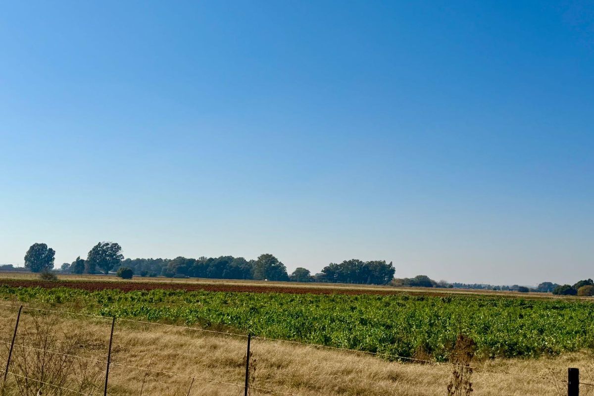 21-Hectare Farm with Water Rights – Just 11km from Langenhovenpark - Photo 5