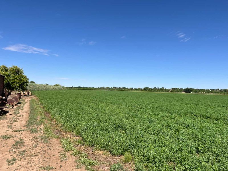 Prime 26 ha Agricultural Property plus 1.5ha building plot for Sale - Photo 9