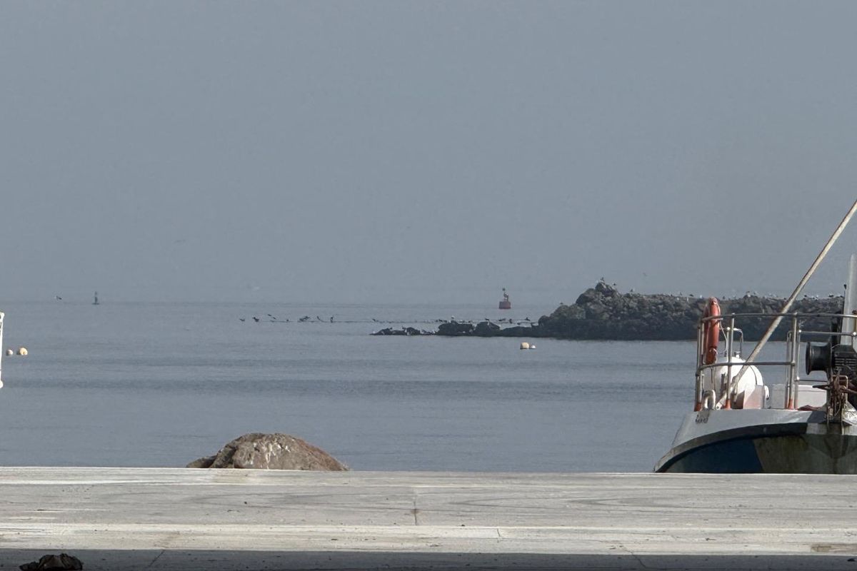 A scenic view overlooking the harbor and ocean, featuring a concrete quay and a docked boat in the foreground.