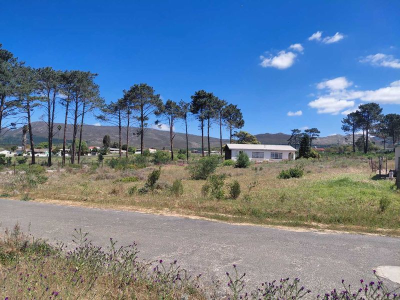 Vacant stand in popular Avenues - Photo 3