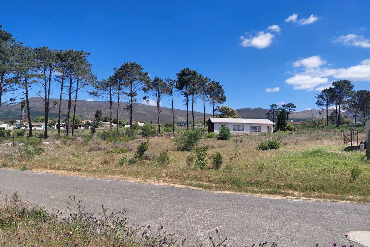 Vacant stand in popular Avenues - Photo 3