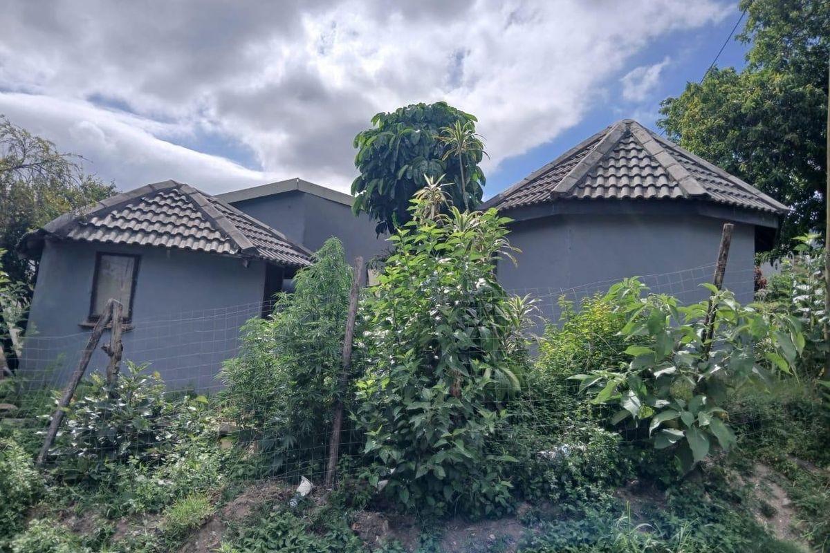 Rear view of a residential property featuring grey exterior walls, tiled roofing, and a garden area enclosed by wire mesh fencing.