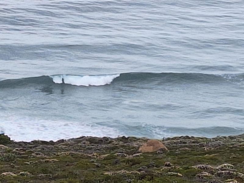 Stunning 3973m2 Vacant Land For Sale in Paradise Coast Eco Estate, Breaker Point - Photo 5