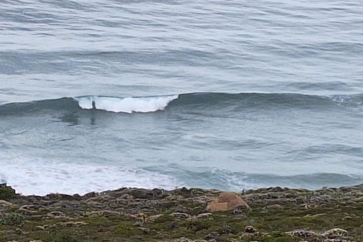 Stunning 3973m2 Vacant Land For Sale in Paradise Coast Eco Estate, Breaker Point - Photo 5