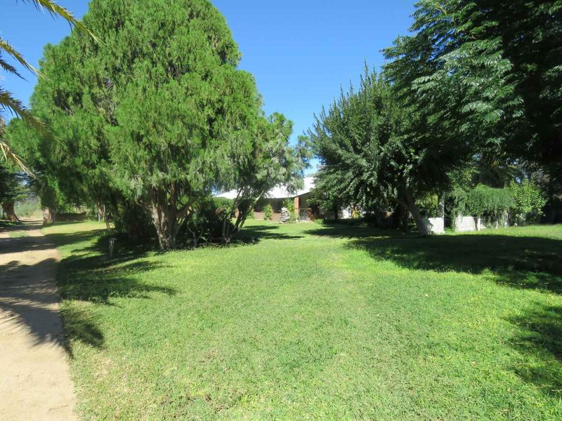 Farm & Thrive: 24,6739 Hectare Opportunity - Photo 7