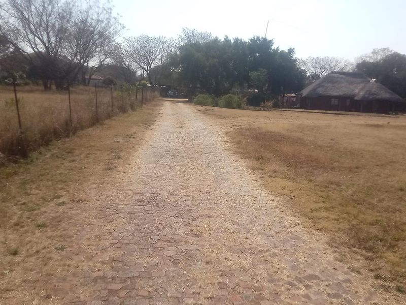 A long cobblestone driveway leading towards a property with a traditional thatched roof, surrounded by dry, open grounds and perimeter fencing.