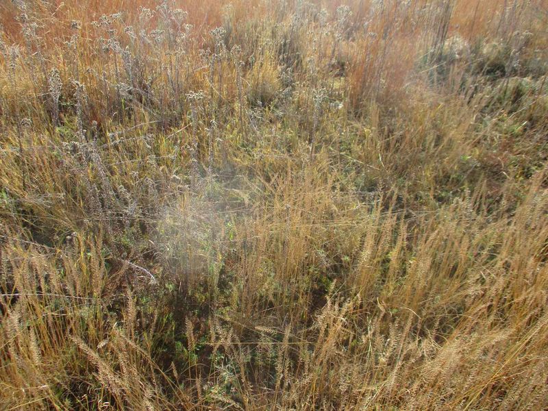 HIGHBURY IN THE MEYERTON AREA - Photo 6