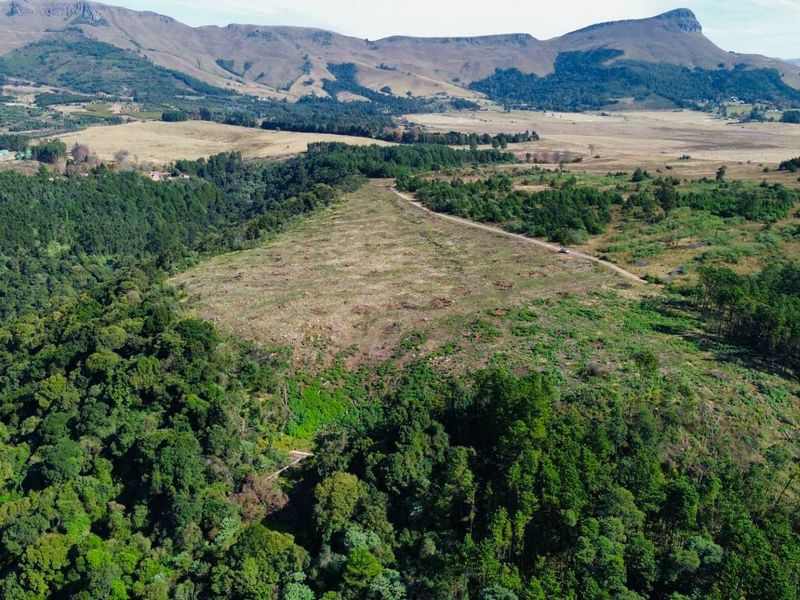 25-Hectare Vacant Land with Forest and Panoramic Views in the Midlands, Howick Rural - Photo 2