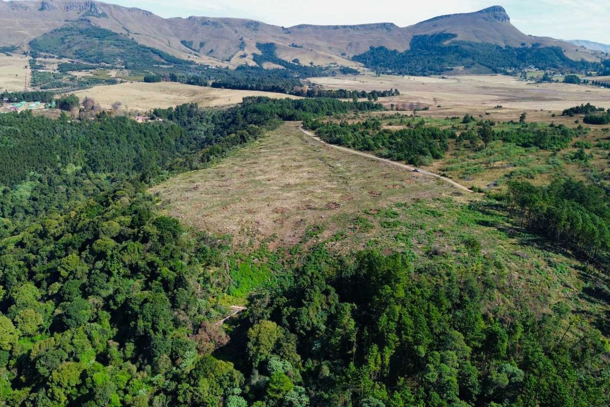 25-Hectare Vacant Land with Forest and Panoramic Views in the Midlands, Howick Rural - Photo 2