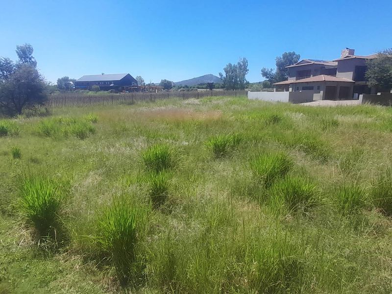 Large Flat Stand Jacana Bay! - Photo 5