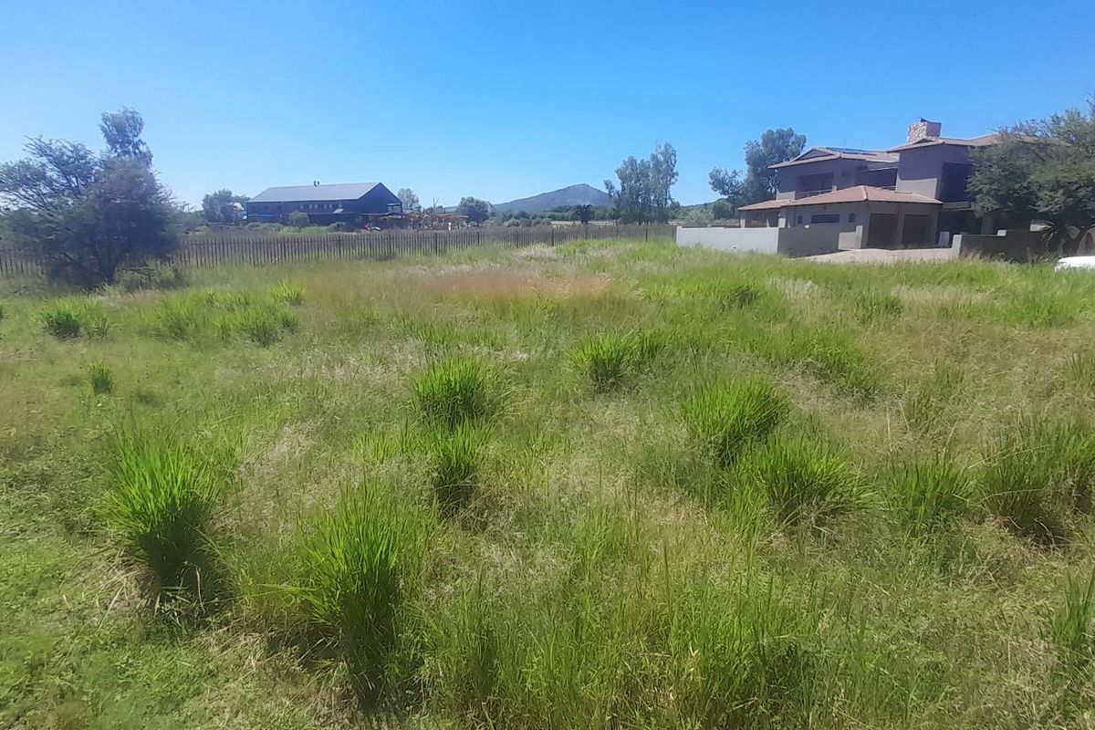 Large Flat Stand Jacana Bay! - Photo 5