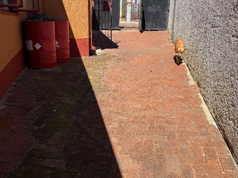 House for sales in Soweto. - Photo 10