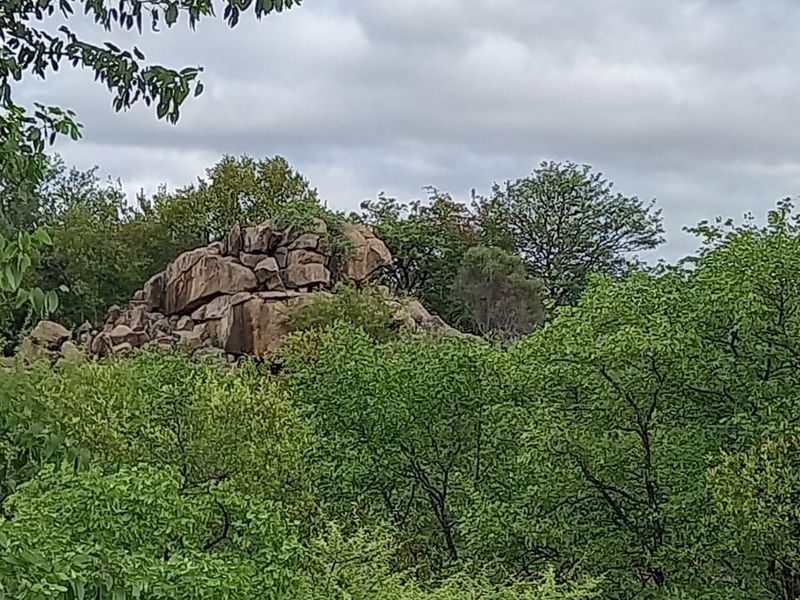A scenic view of a natural rock formation surrounded by lush indigenous trees and vegetation on the residential land.