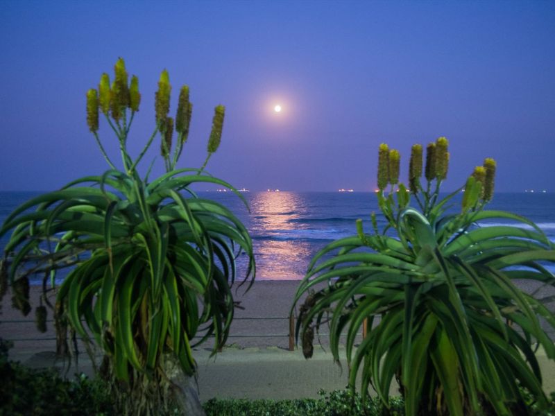 Carve Out a Great Life at the Pearls - Photo 10