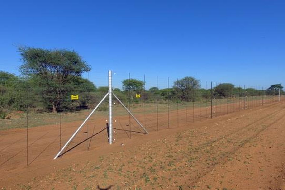 A view of the farm perimeter featuring secure wire mesh fencing with metal support posts along a dirt access road.
