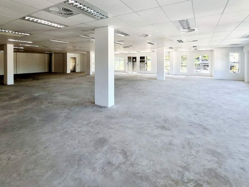 Commercial building 1,114.91m2 Florida Road asset for sale | Part tenanted, part vacant | Signage, parking & prime positioning included - Photo 5