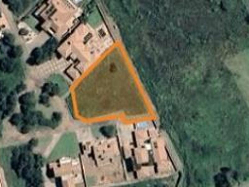 Large Flat Stand Jacana Bay! - Photo 3