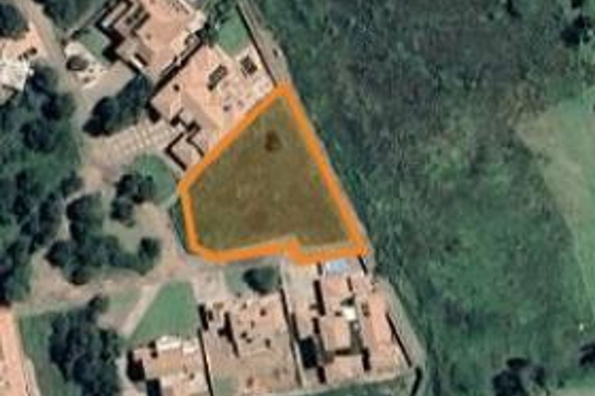 Large Flat Stand Jacana Bay! - Photo 3