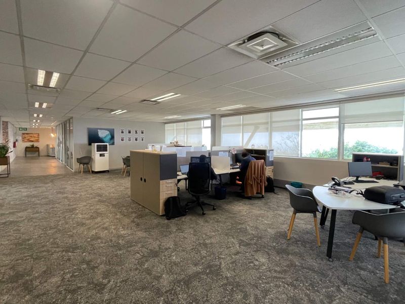 Open-plan office space featuring suspended ceilings, recessed lighting, large windows with roller blinds, and carpeted flooring.