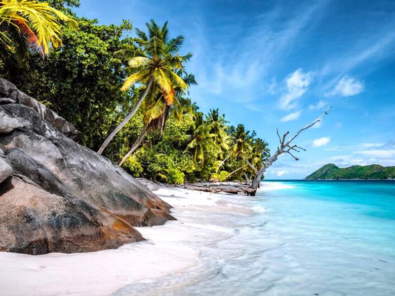 OFF MARKET OPPORTUNITY TO ACQUIRE AND OWN A PRIVATE ISLAND IN THE INCREDIBLE SEYCHELLES - Photo 7