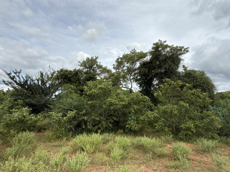 Rare vacant riverside stand in Elephant Rock Eco Estate - Photo 8