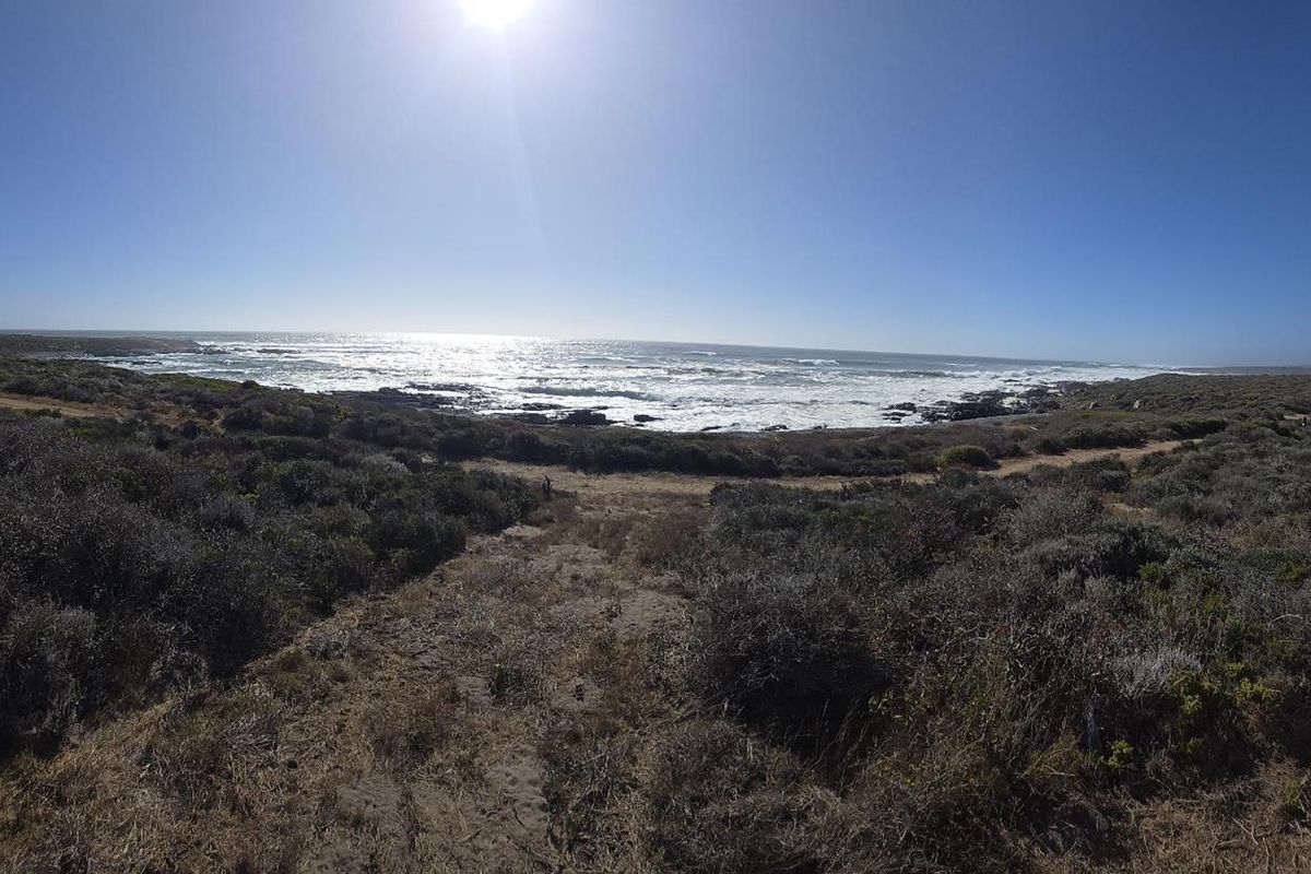 Prime Sea Views - Exclusive Vacant Stand - Grotto Bay’s Private Nature Reserve - Photo 4