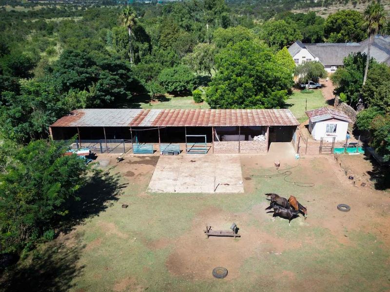 22ha Farm for Sale – Prime Small-Scale Farming Opportunity - Photo 9