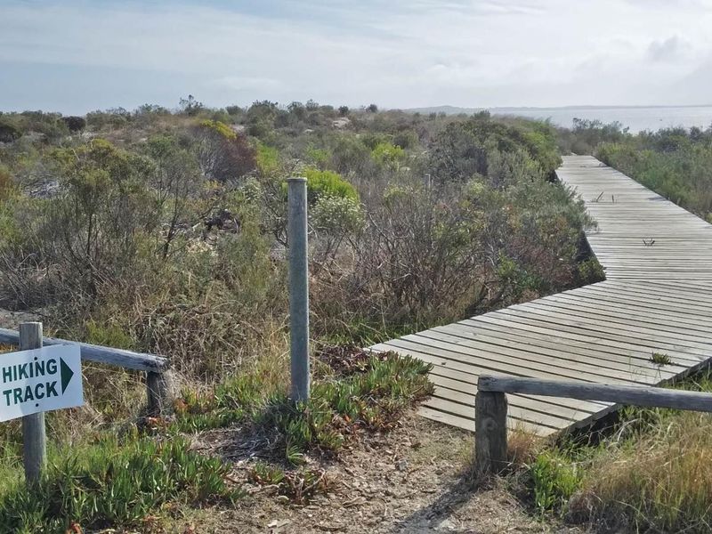 A scenic outdoor view featuring a wooden boardwalk path winding through natural coastal vegetation and shrubbery, leading towards the water.