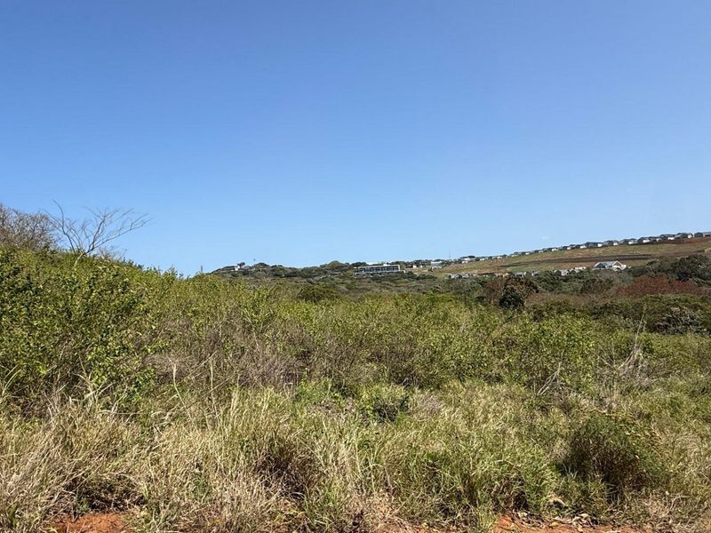 A view of the vacant residential land featuring natural vegetation and sloped terrain with distant neighborhood housing visible.
