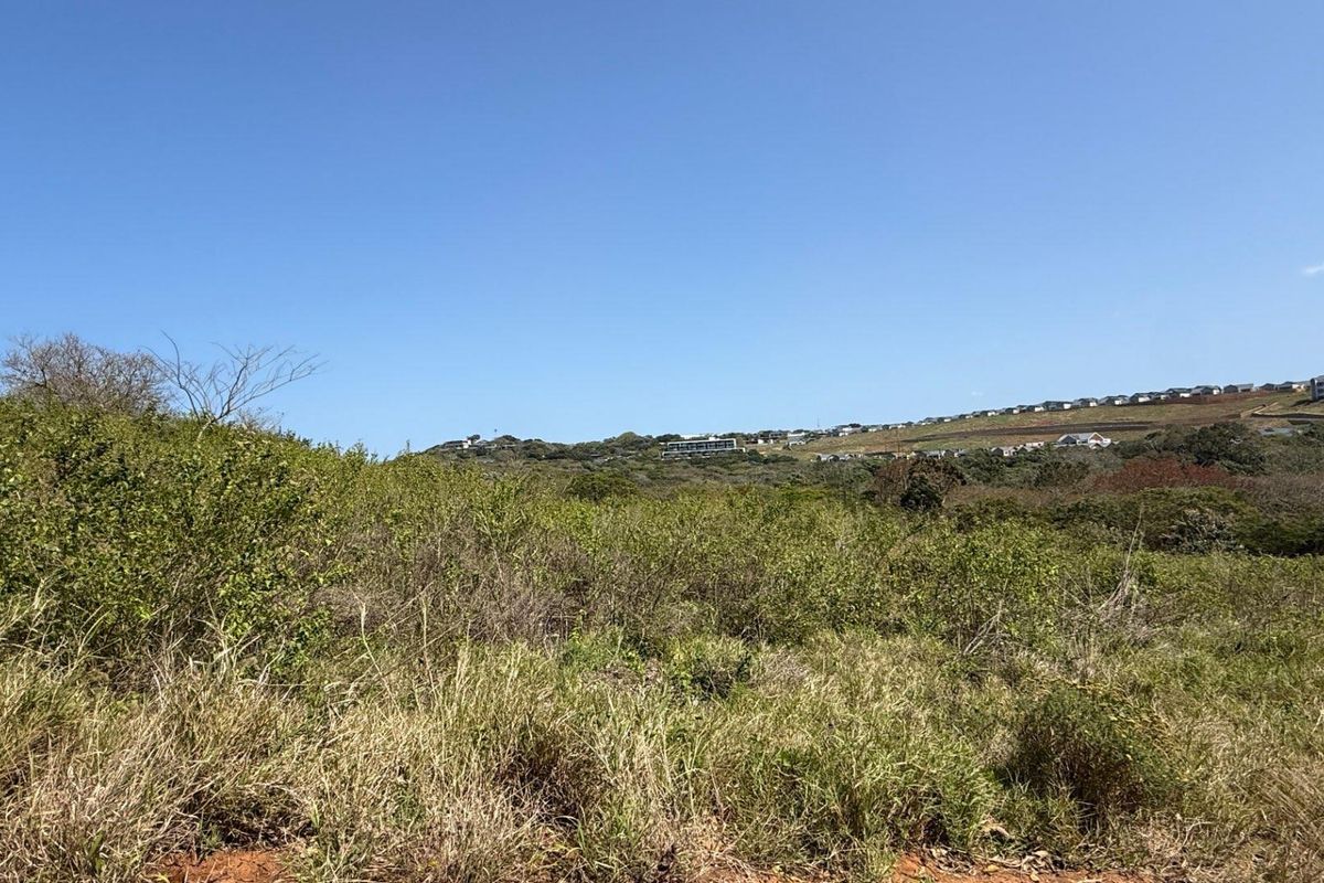A view of the vacant residential land featuring natural vegetation and sloped terrain with distant neighborhood housing visible.