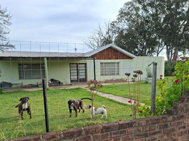 Rear view of a single-story house featuring a covered patio, concrete walkway, and a large garden enclosed by brick and wire fencing.