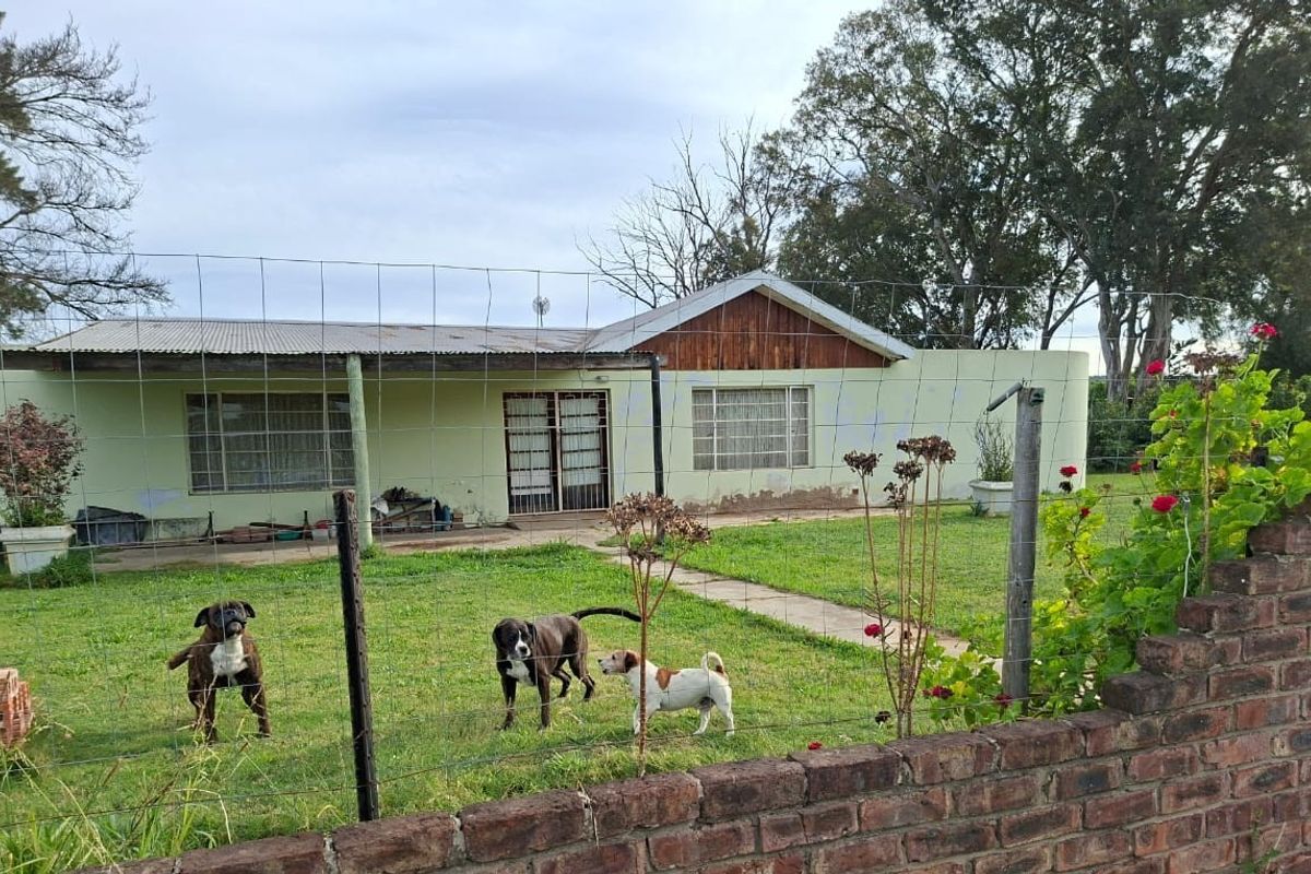Rear view of a single-story house featuring a covered patio, concrete walkway, and a large garden enclosed by brick and wire fencing.