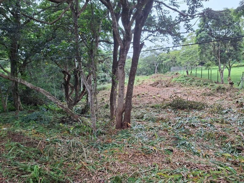 Nestled in the serene enclave of Crestview - Photo 7