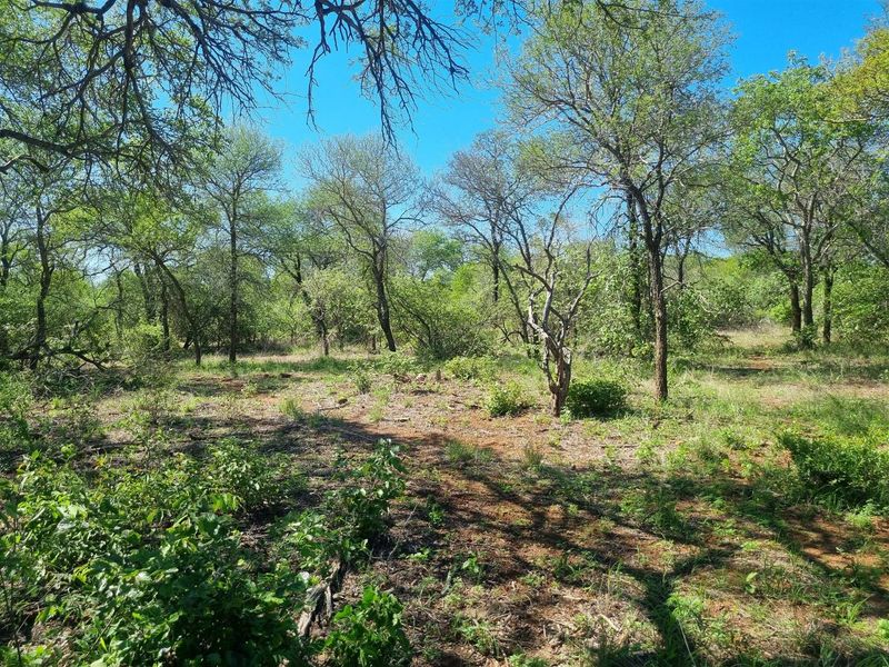 Exceptional Double Stand in Prime Riversdale Farm Location - Photo 7