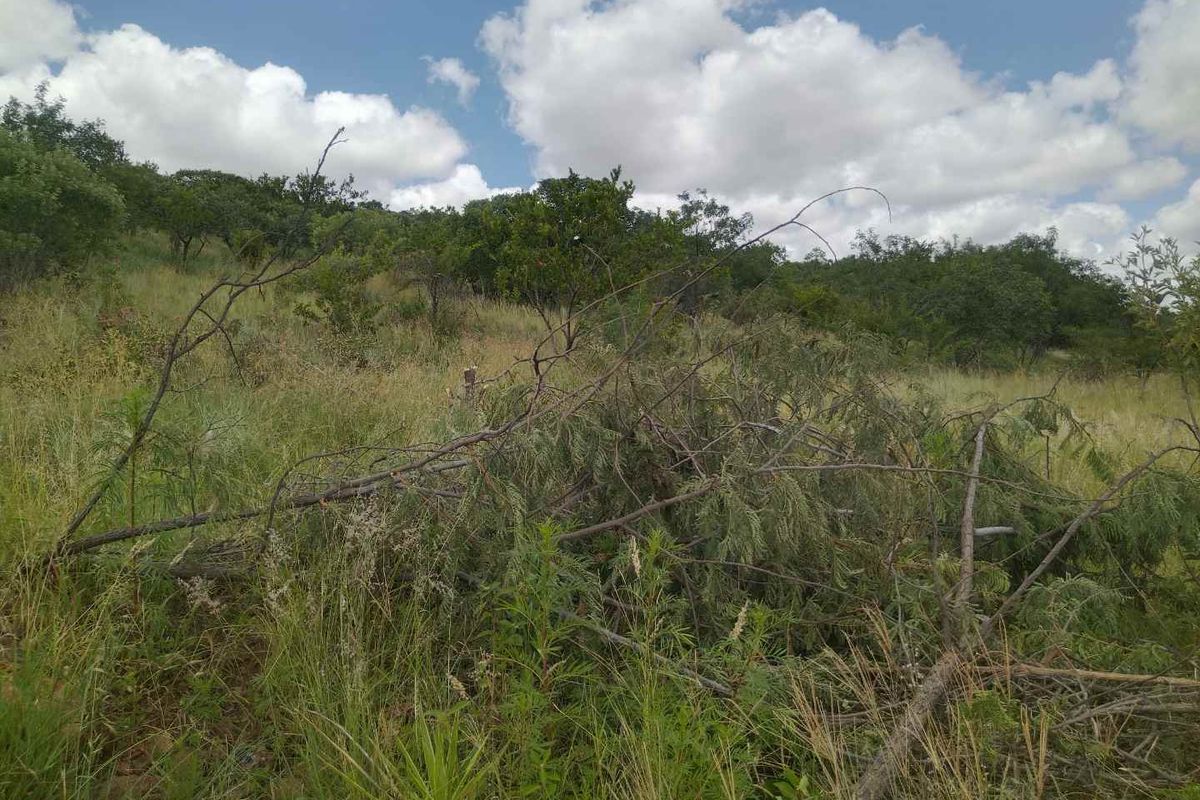 Stand for sale in Mabopane M - Photo 5