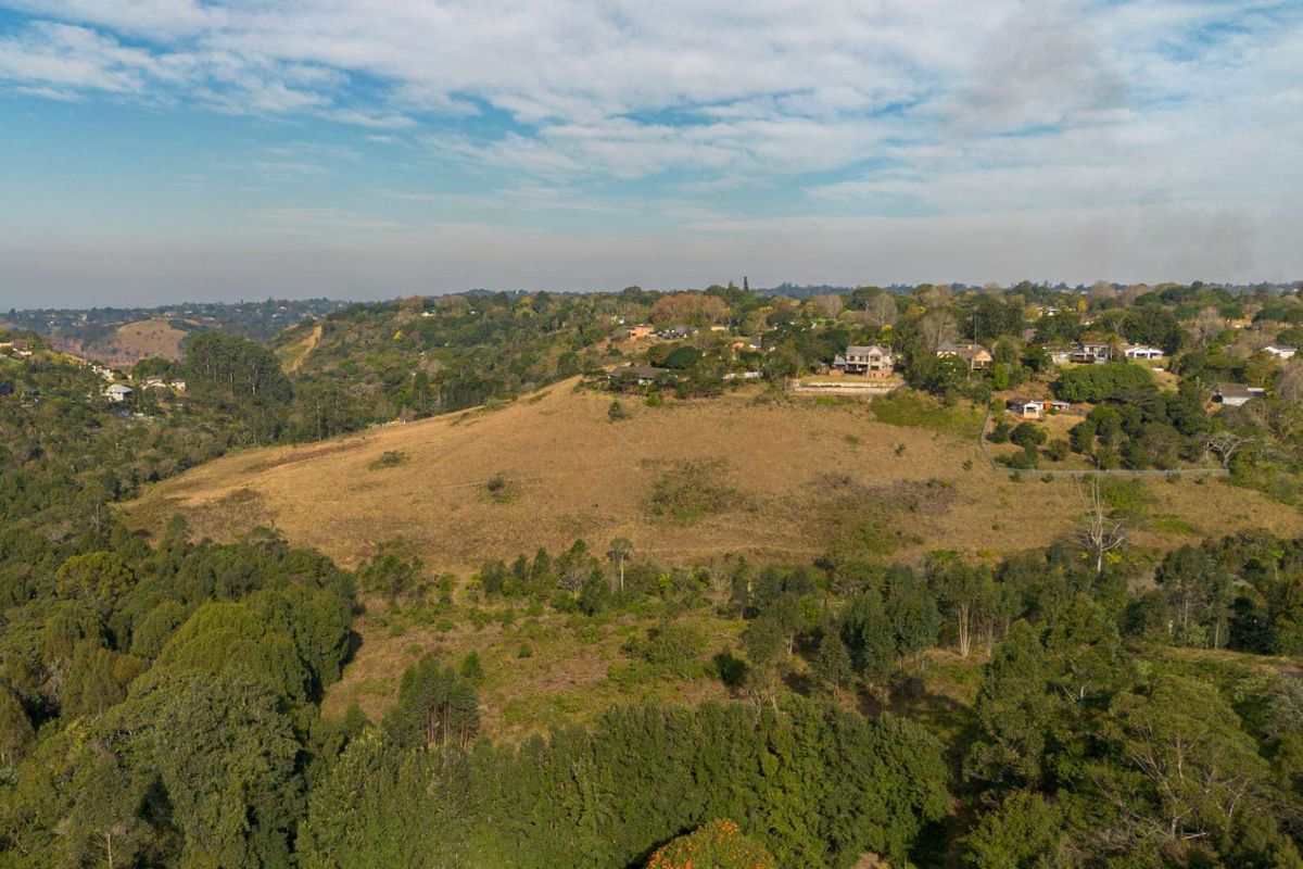 Homestead lifestyle - Photo 3