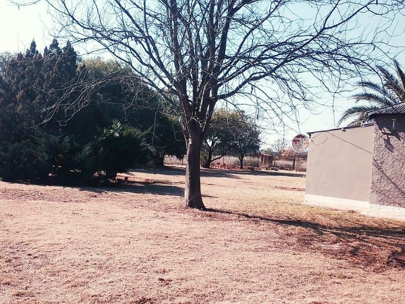 10.7 HEKT FARM,IDEAL FOR VEGETABLES TUNNELS.EGGS.PIGS,SHEEP TO ESTABLISH A GOOD INCOME - Photo 6